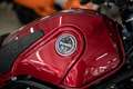 Benelli Leoncino 500 Trail,sofort lieferbar,Aktionspreis Rot - thumbnail 14