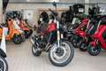 Benelli Leoncino 500 Trail,sofort lieferbar,Aktionspreis Rot - thumbnail 3