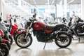 Benelli Leoncino 500 Trail,sofort lieferbar,Aktionspreis Rot - thumbnail 8