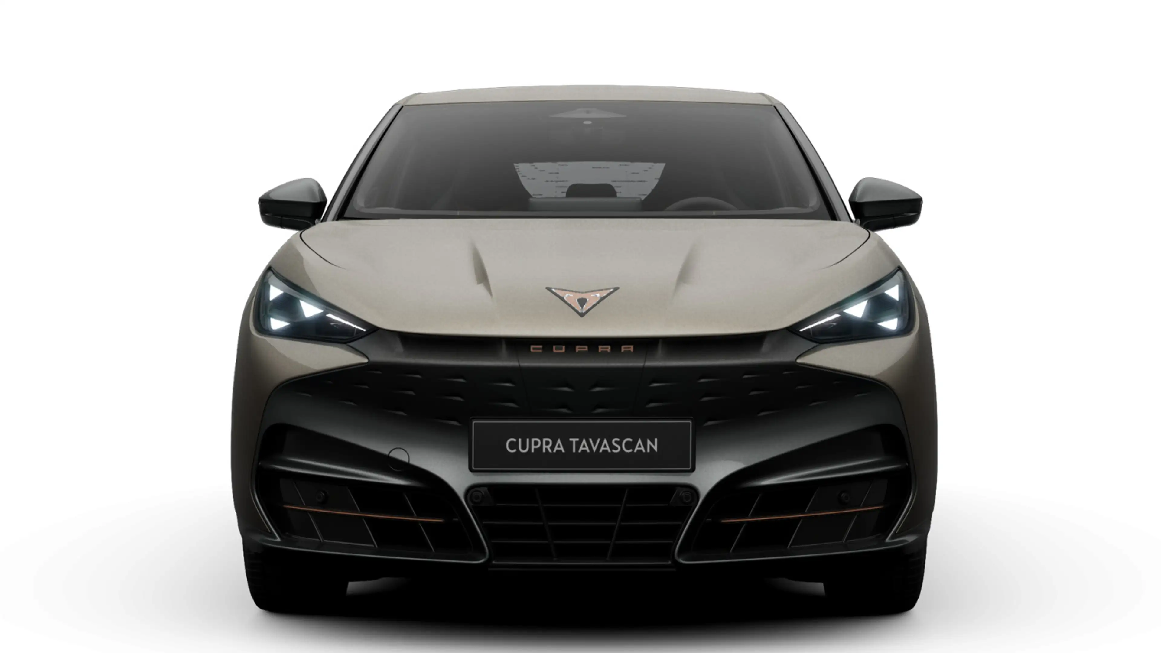 CUPRA Tavascan Endurance 210 kW (286 PS) *GJR*LED*KLIM — photo 2