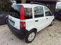 Fiat Panda Panda II 2003 1.3 mjt 16v Free Ride - thumbnail 4