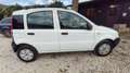 Fiat Panda Panda II 2003 1.3 mjt 16v Free Ride - thumbnail 5