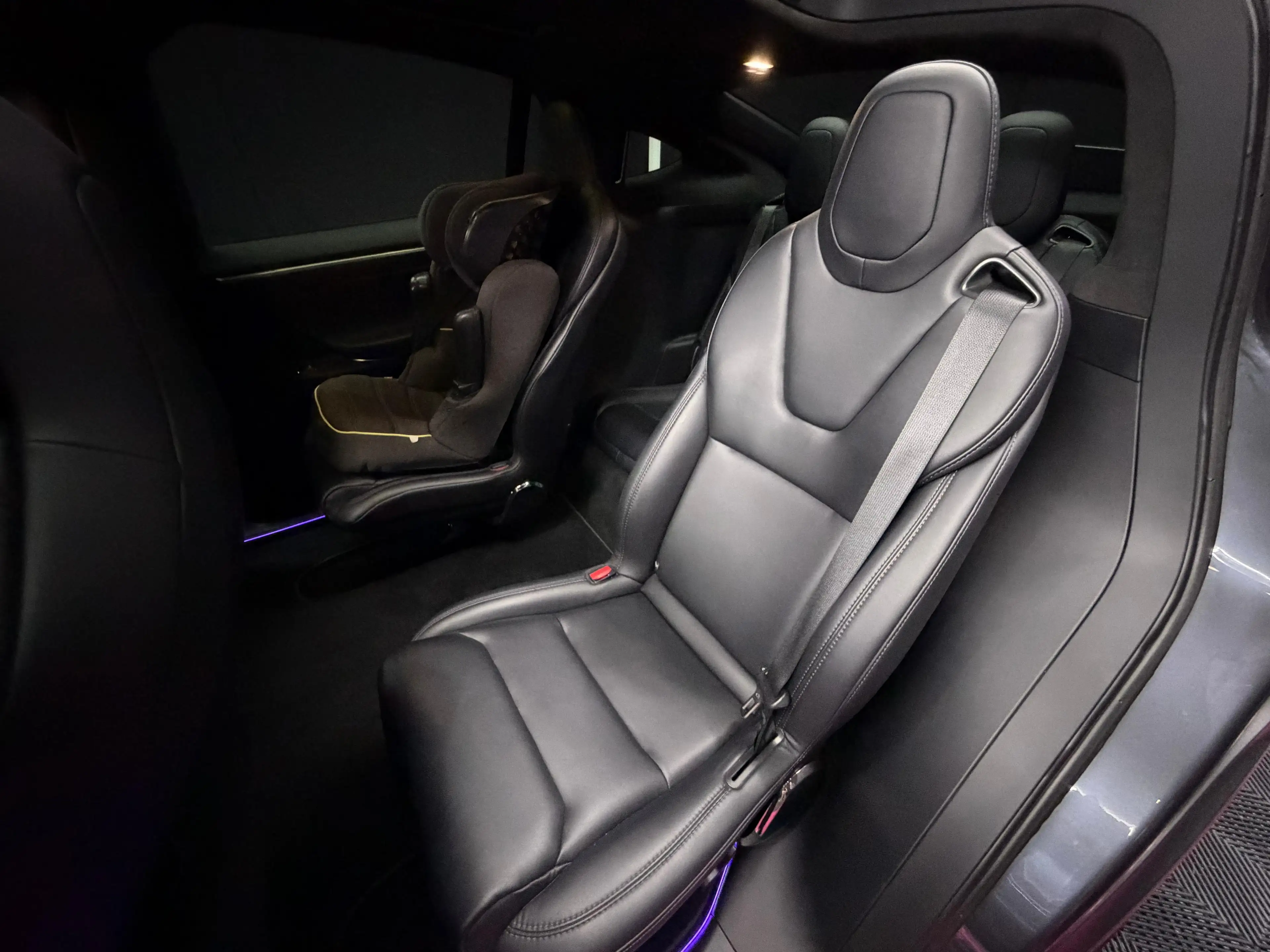 Tesla Model X Model X 100 kWh Dual Motor — photo 14