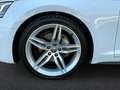 Audi A5 Cabrio 2,0 TDI sport S-tronic Weiß - thumbnail 5
