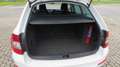 Skoda Octavia Combi Ambition Weiß - thumbnail 14