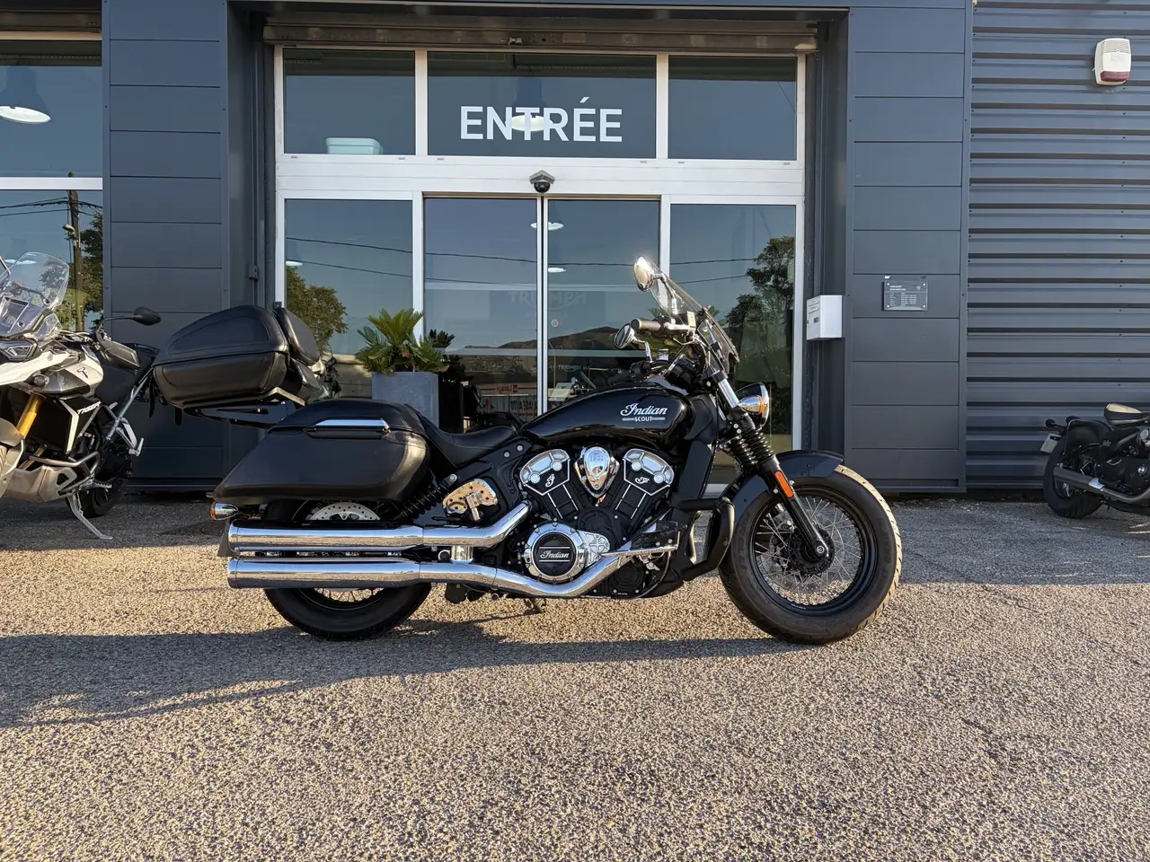 Indian Scout