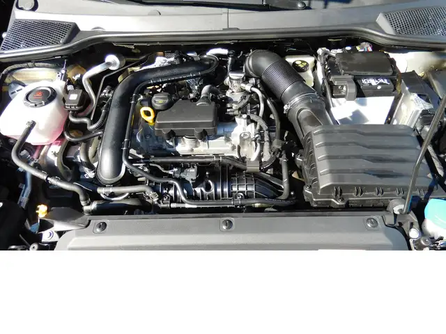 SEAT Arona view 14