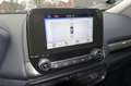 Ford EcoSport 1,0 EcoBoost Trend / Winter Paket / AHK Grau - thumbnail 15