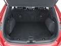 Ford Kuga 1.5 EcoBlue Titanium X Aut LED NAVI LEDER Rot - thumbnail 25