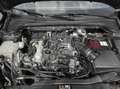 Ford Focus 1.0 EcoBoost Hybrid 125 CV Power. 5p. ST-Line Styl Grigio - thumbnail 10