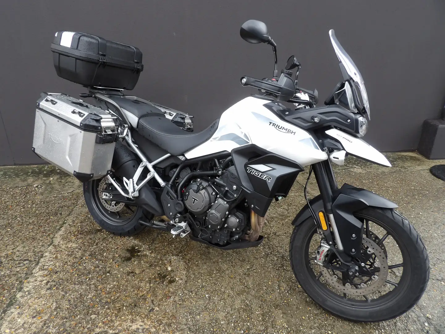 Triumph Tiger 900 Blanc - 1
