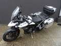 Triumph Tiger 900 Blanc - thumbnail 3