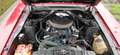 Ford Mustang Coupe Rood - thumbnail 12