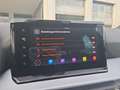 SEAT Ibiza 1.0 TSI DSG FR+VOLLLED+NAVI+SHZ+PDC+ACC+CLIMATR Grau - thumbnail 26