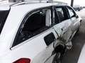 Mercedes-Benz E 250 CDI T Aut. Weiß - thumbnail 8