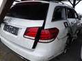 Mercedes-Benz E 250 CDI T Aut. Weiß - thumbnail 7
