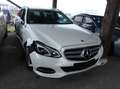 Mercedes-Benz E 250 CDI T Aut. Weiß - thumbnail 1