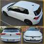 Volkswagen Golf VIII 1.0etsi Evo Life 110cv dsg Bianco - thumbnail 2