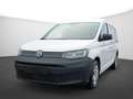 Volkswagen Caddy Caddy Maxi 2.0 TDI DSG Rollstuhlumbau Weiß - thumbnail 14