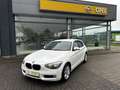 BMW 116 i / Verkauf im Kundenauftrag Weiß - thumbnail 1