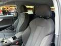 Audi A4 Avant 35 TDI S LINE SLINE CERCHI 18'' IVA ESPOSTA Grigio - thumbnail 25