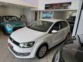 Volkswagen Polo 1.2 70 CV 5p. Comfortline Bianco - thumbnail 14