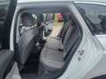 Audi A4 A4 V 2020 Avant Avant 35 2.0 tdi mhev  s-tronic Weiß - thumbnail 13