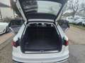 Audi A4 A4 V 2020 Avant Avant 35 2.0 tdi mhev  s-tronic Weiß - thumbnail 14