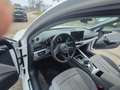 Audi A4 A4 V 2020 Avant Avant 35 2.0 tdi mhev  s-tronic Weiß - thumbnail 10