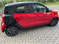smart forFour Forfour II eq Youngster my19 Rosso - thumbnail 4