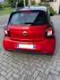 smart forFour Forfour II eq Youngster my19 Rosso - thumbnail 3