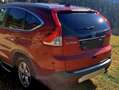 Honda CR-V CR-V 2,2i-DTEC Lifestyle DPF Lifestyle Rot - thumbnail 5