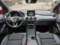Mercedes-Benz B 220 B B 220 CDI / d 4Matic Rot - thumbnail 13