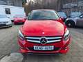 Mercedes-Benz B 220 B B 220 CDI / d 4Matic Rot - thumbnail 3