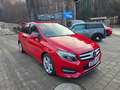 Mercedes-Benz B 220 B B 220 CDI / d 4Matic Rot - thumbnail 4