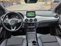Mercedes-Benz B 220 B B 220 CDI / d 4Matic Rot - thumbnail 17