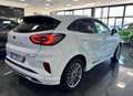 Ford Puma 1.0 ecoboost h ST-Line Vignale 155 CV Bianco - thumbnail 4