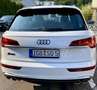 Audi SQ5 TDI quattro tiptronic Weiß - thumbnail 8