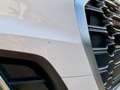 Audi SQ5 TDI quattro tiptronic Weiß - thumbnail 12