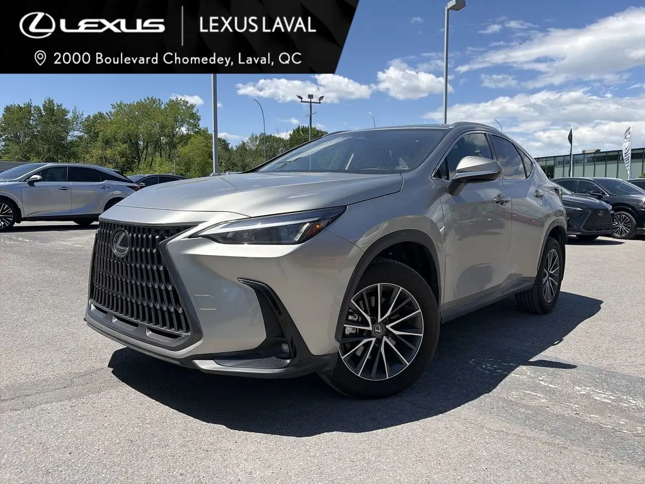 2025 Lexus NX