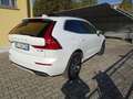 Volvo XC60 XC60 II 2018 2.0 d4 R-design awd geartronic Bianco - thumbnail 6