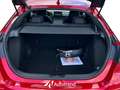 Honda Civic 2.0 Hybrid 184 CV Automatica NAVI LED Sport Rot - thumbnail 17