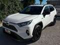 Toyota RAV 4 Bianco - thumbnail 1