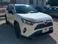 Toyota RAV 4 Bianco - thumbnail 3