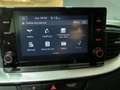 Kia XCeed 1.6 GDi PHEV 104kW (141CV) eDrive Červená - thumbnail 15