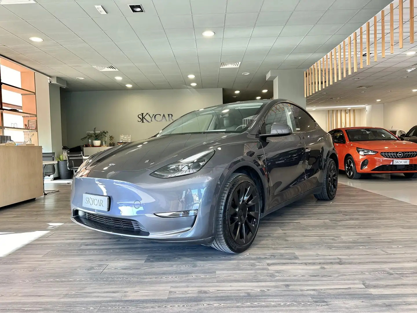 Tesla Model Y Long Range AWD Grigio - 1