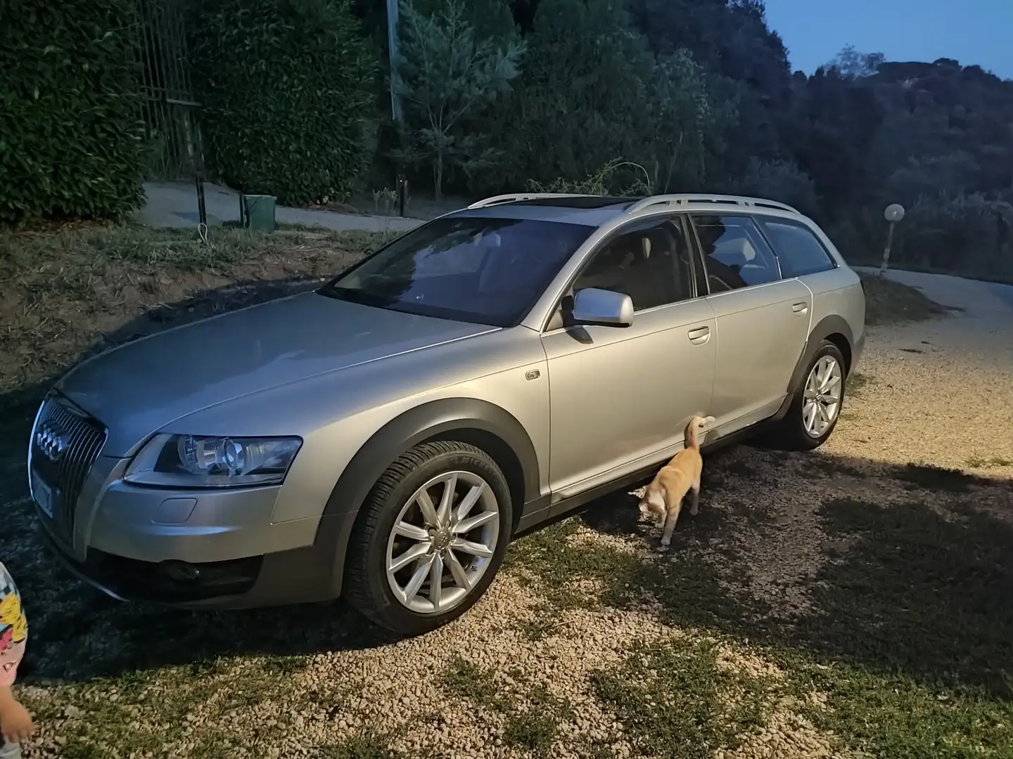 Audi A6 allroad 3.0 V6 tdi tiptronic fap - 2