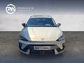 CUPRA Leon 1.5 eTSI DSG 150 PS Grau - thumbnail 4