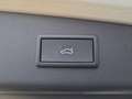 CUPRA Leon 1.5 eTSI DSG 150 PS Grau - thumbnail 11