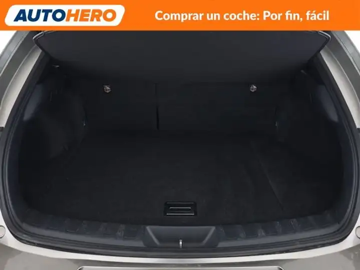 Lexus UX 250h ECO 2019, foto 18